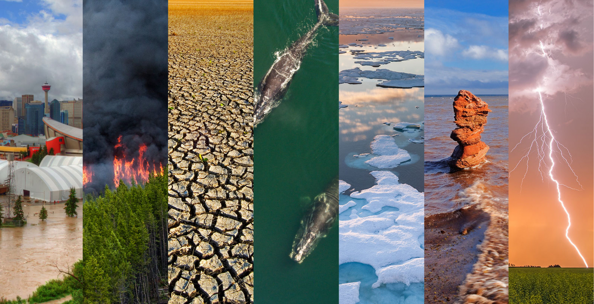 Climate, Resilience & Disaster Intelligence