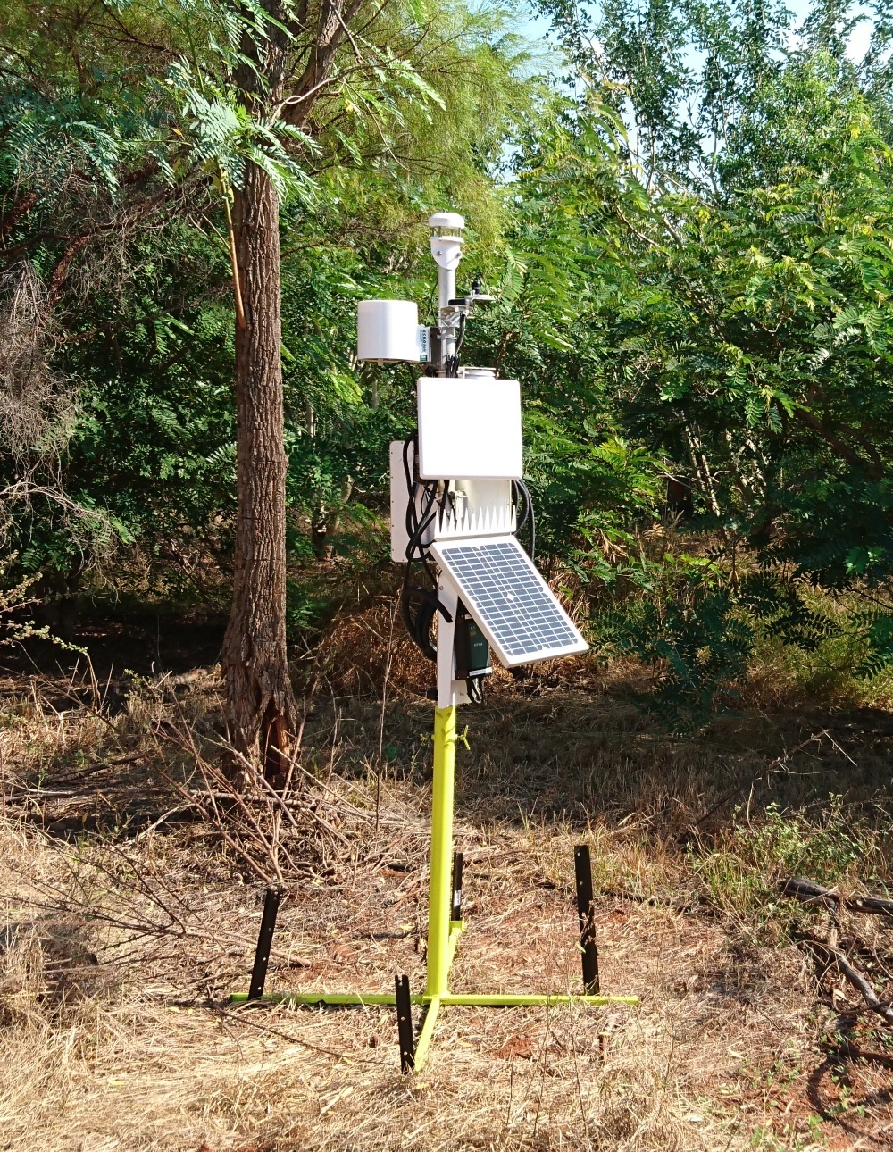 Biodiversity, Ecosystems & Environmental Monitoring