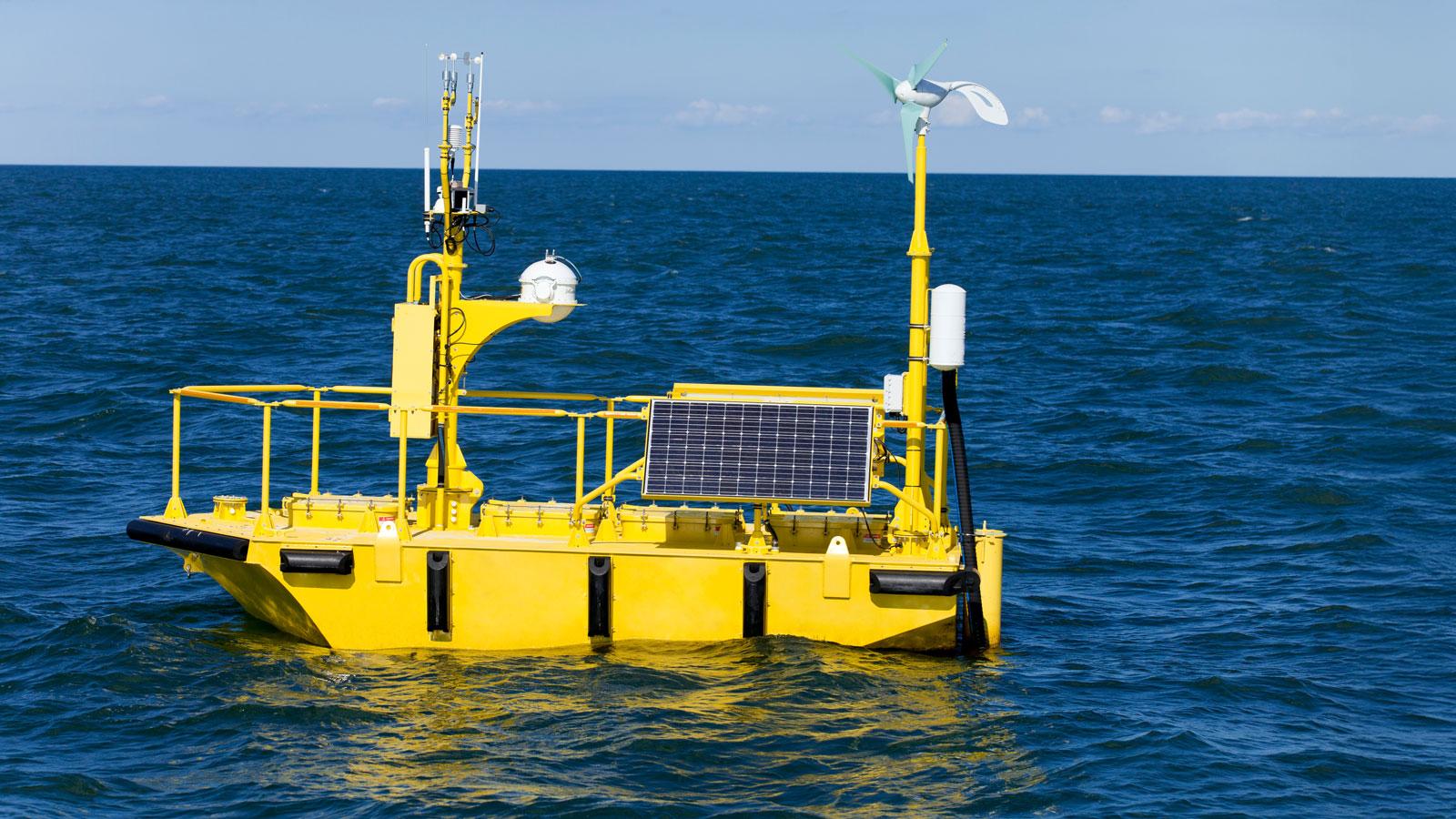 Coastal mangrove ecosystem and ocean waters
